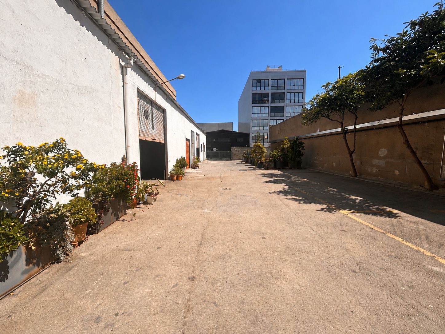 Terraza